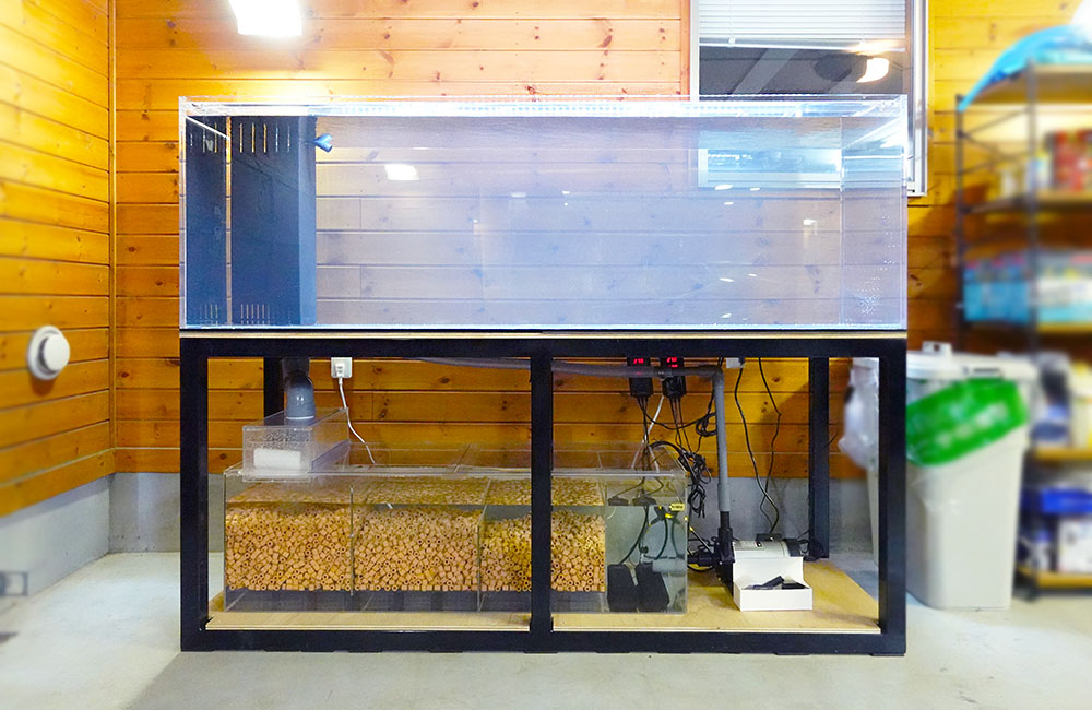 180cmの大型アロワナ水槽を特注制作！個人宅に設置しました｜東京