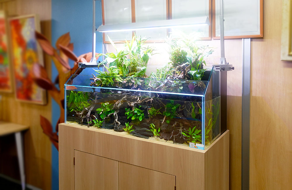 オフィスの特注水槽！1mのアクアテラリウムで癒しの空間づくり｜東京
