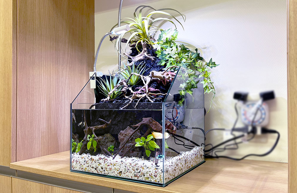 120cm水槽をリニューアル！歯科クリニックのアクアテラリウム水槽