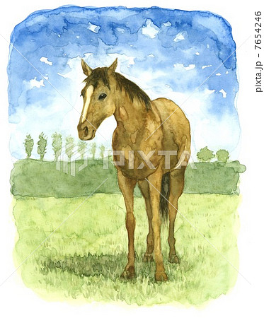 水彩画 牧場の馬のイラスト素材 [7654246] - PIXTA