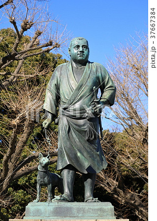 上野にある西郷隆盛像と愛犬つんの写真素材 [37667384] - PIXTA