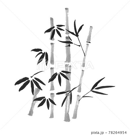 竹 水墨画風のイラスト素材 [78264954] - PIXTA