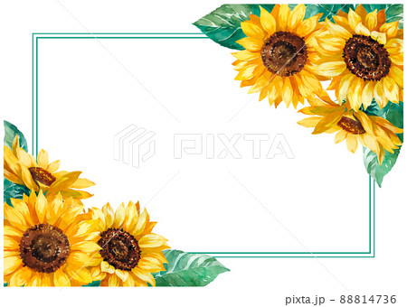 ひまわりの写真 A3茶色の木製フレーム ひまわりの写真 A3茶色の木製