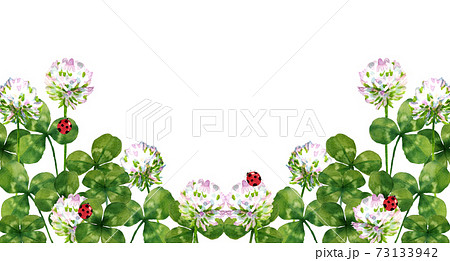シロツメクサ 手書き 水彩 クローバーのイラスト素材 - PIXTA