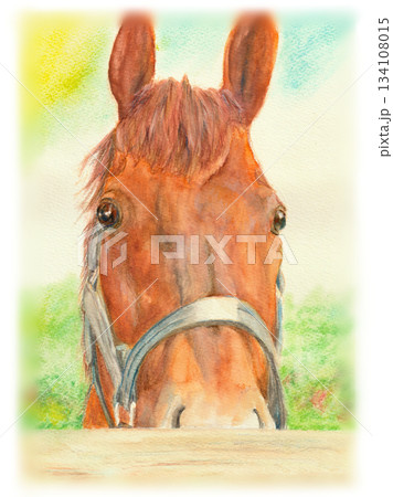 動物 馬 水彩画 水彩のイラスト素材 - PIXTA