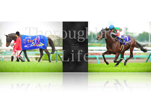 希少♦️武豊メジロマックイーン引退式パネル