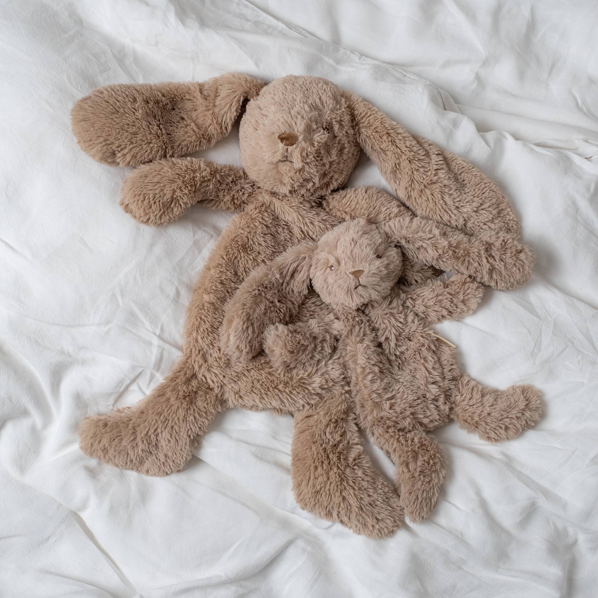 ぬいぐるみ Sparkly Cassis Original Bunny AUTHENTIC❗️Jellycat