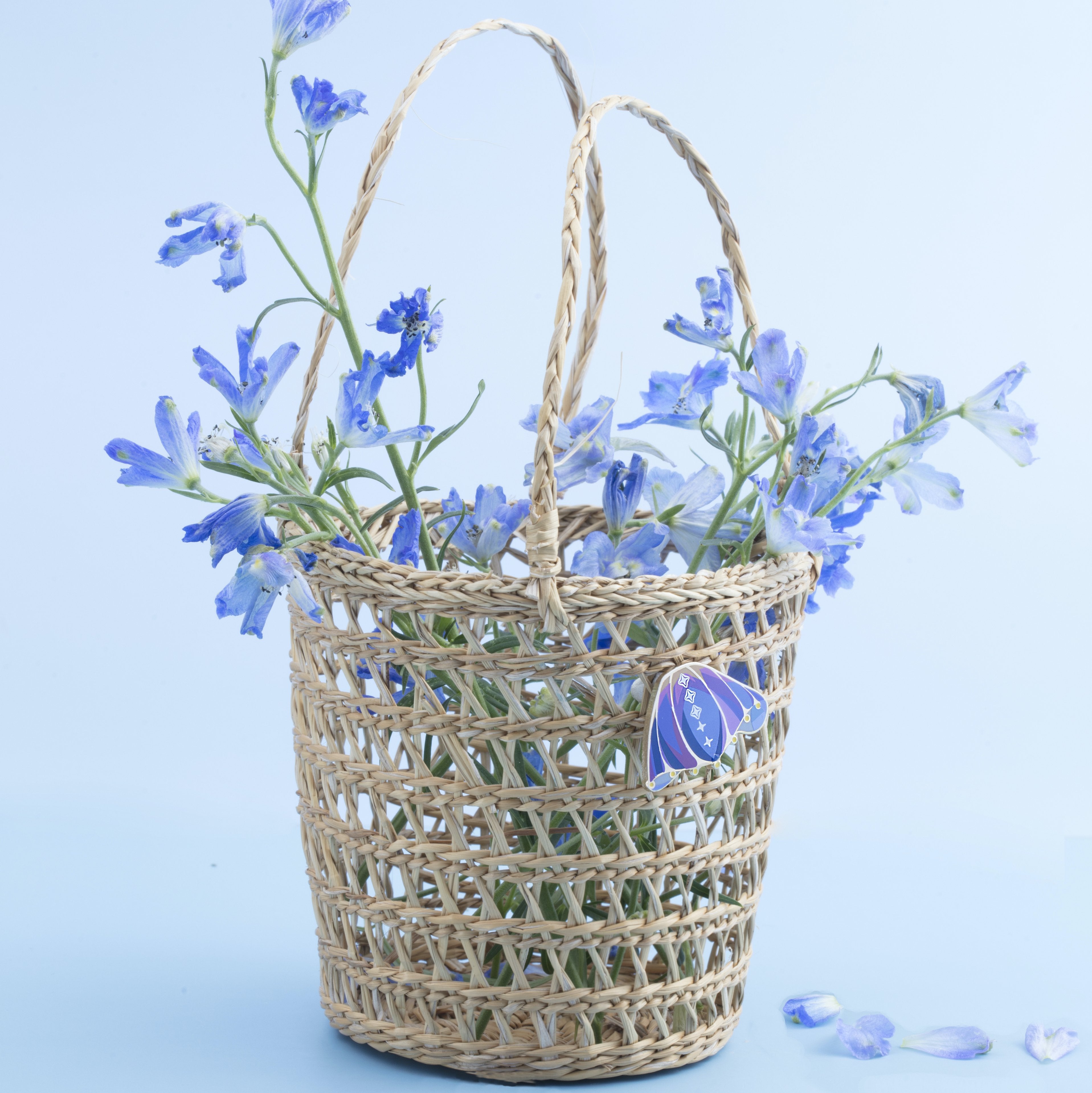 ピンバッジ 光の探究者ケープ – thatskyshop JP