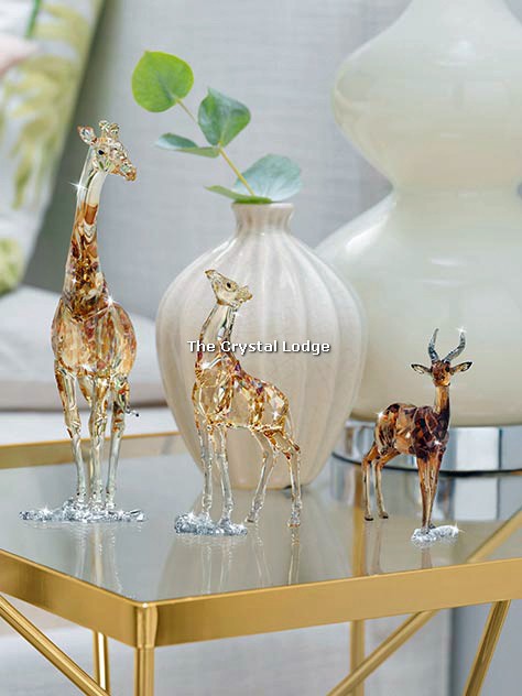 SWAROVSKI 2018 GAZELLE 5301551 - The Crystal Lodge | Specialists