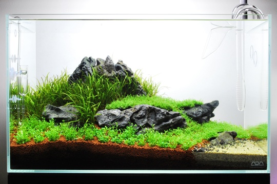 ADA NATURE AQUARIUM AQUASKY G 602 ② onaquarium_grande.jpg?v