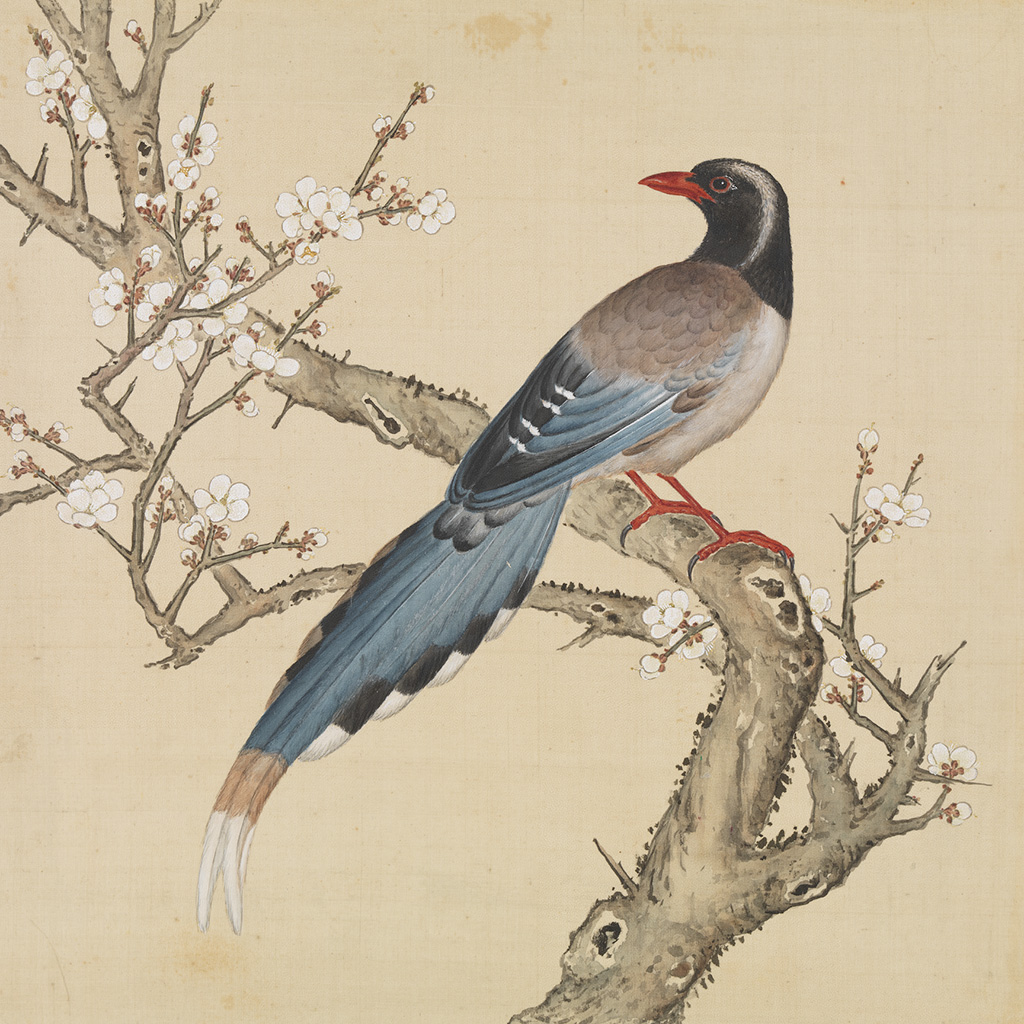 故宮鳥譜古書郵票 鳥譜～故宮鳥譜古畫郵票原圖介紹，