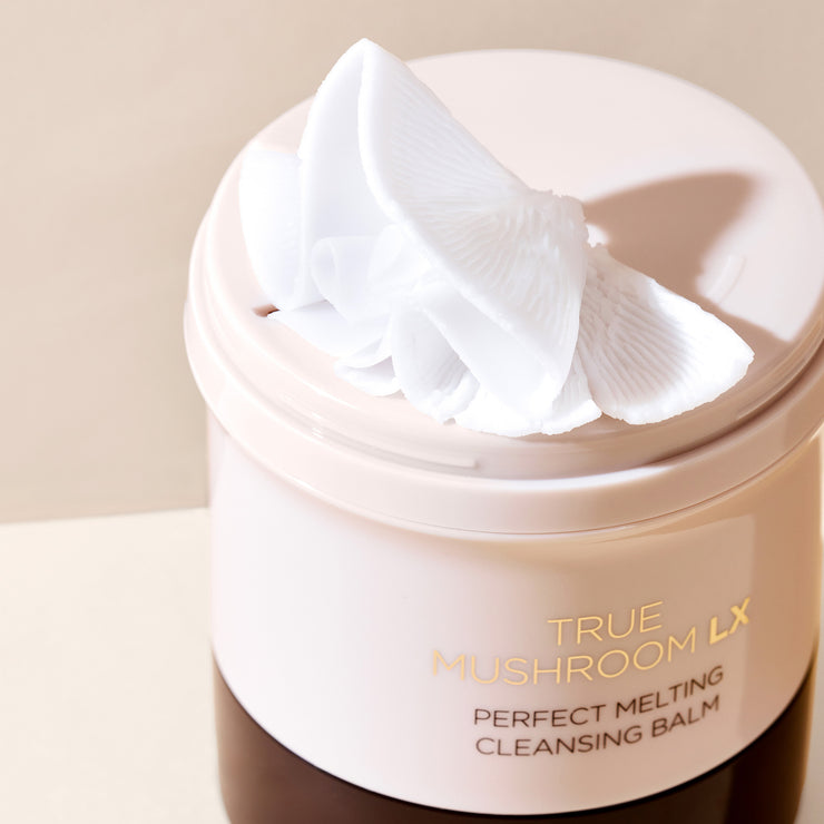 soor ploom キャップ mushroom Blue ringed ink cap