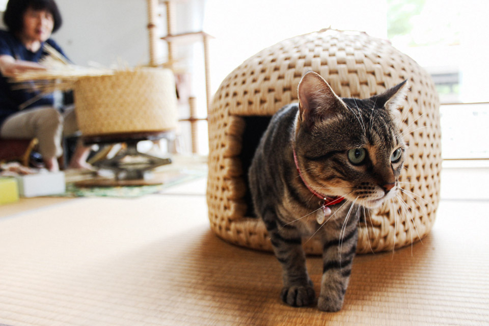 安心できる猫のおうち。関川村「猫ちぐら」のこれまでとこれから