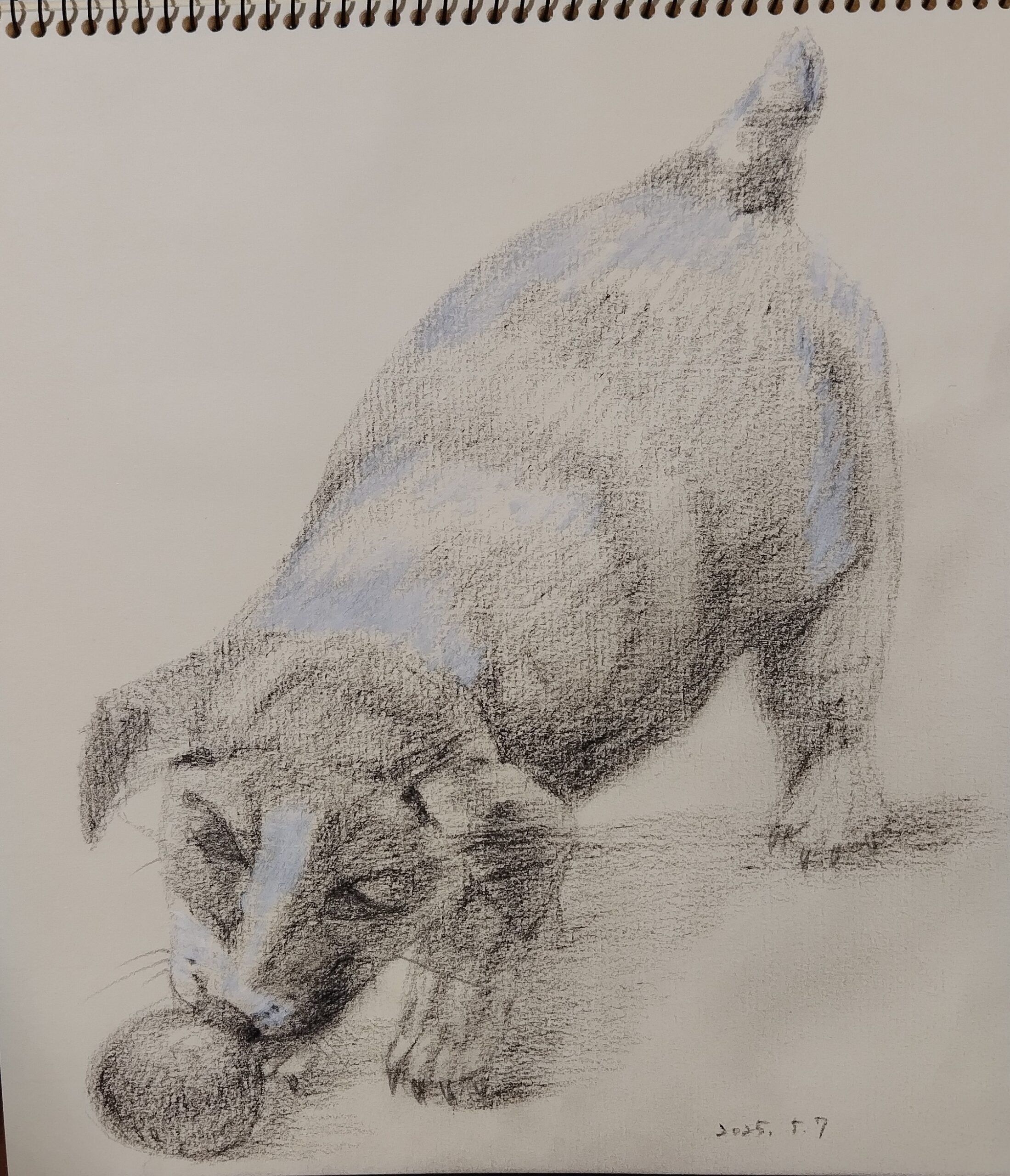 dog with ball | 松本緑 ｜インテリア絵画 アートの専門通販