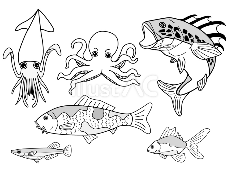 4歳の時に書いた水中の生き物の絵 4歳の時に書いた水中の生き物の絵