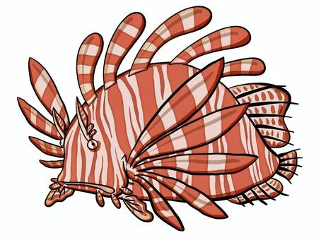 ハナミノカサゴイラスト - No: 1728363｜無料イラスト・フリー素材なら