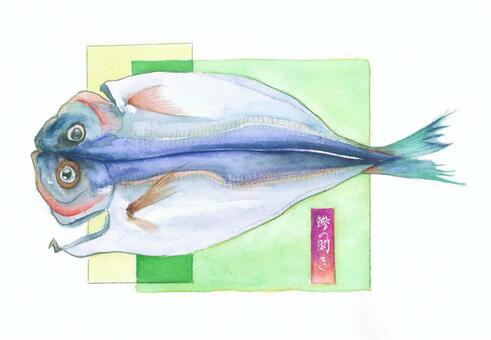 干物 水彩イラスト｜無料イラスト・フリー素材なら「イラストAC」