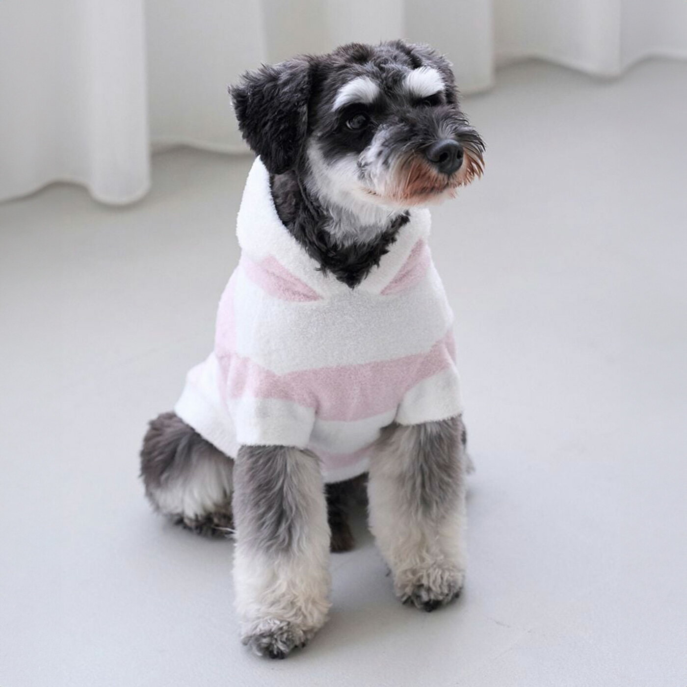 楽天市場】ジェラート ピケ スムーズィー（ドッグウェア｜犬用品