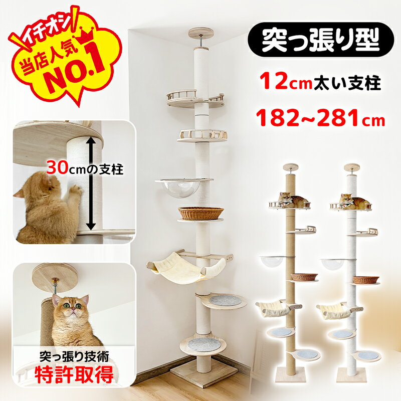 ラタン製キャットベッド ハンドル付き 早いもの勝ち Amazon | Mwpo 新