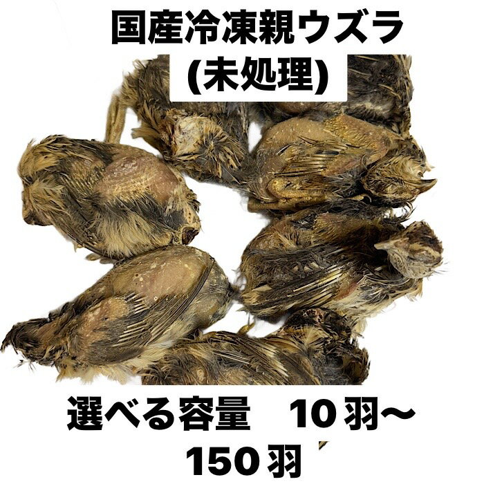 送料無料 訳あり冷凍処理済み親ウズラ70羽 ウズラ50羽餌用 頭付き内臓