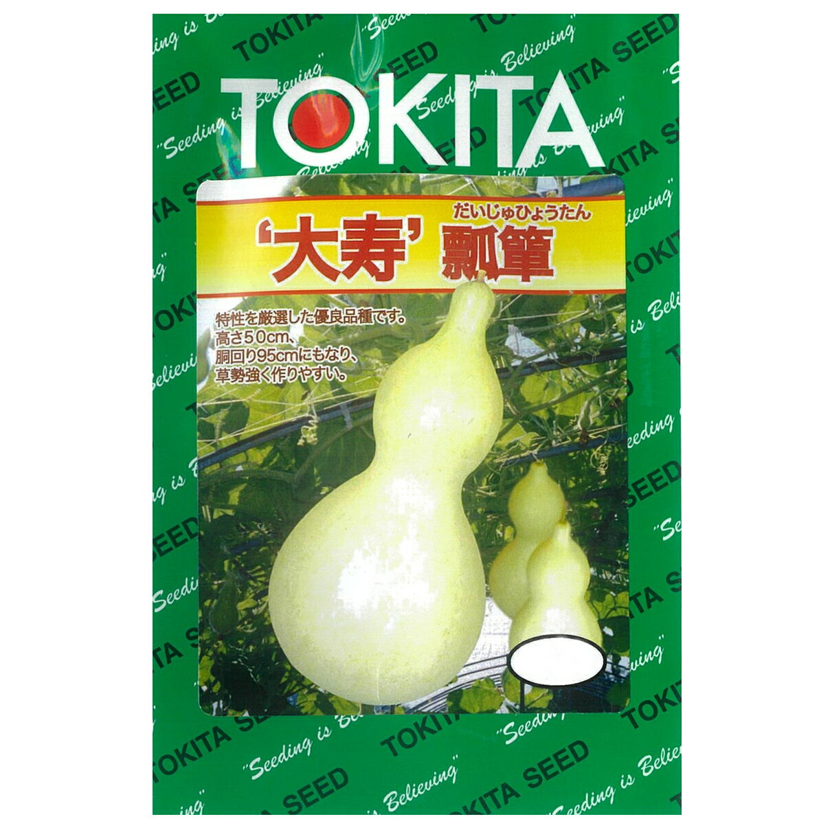 楽天市場】ひょうたん 大の通販