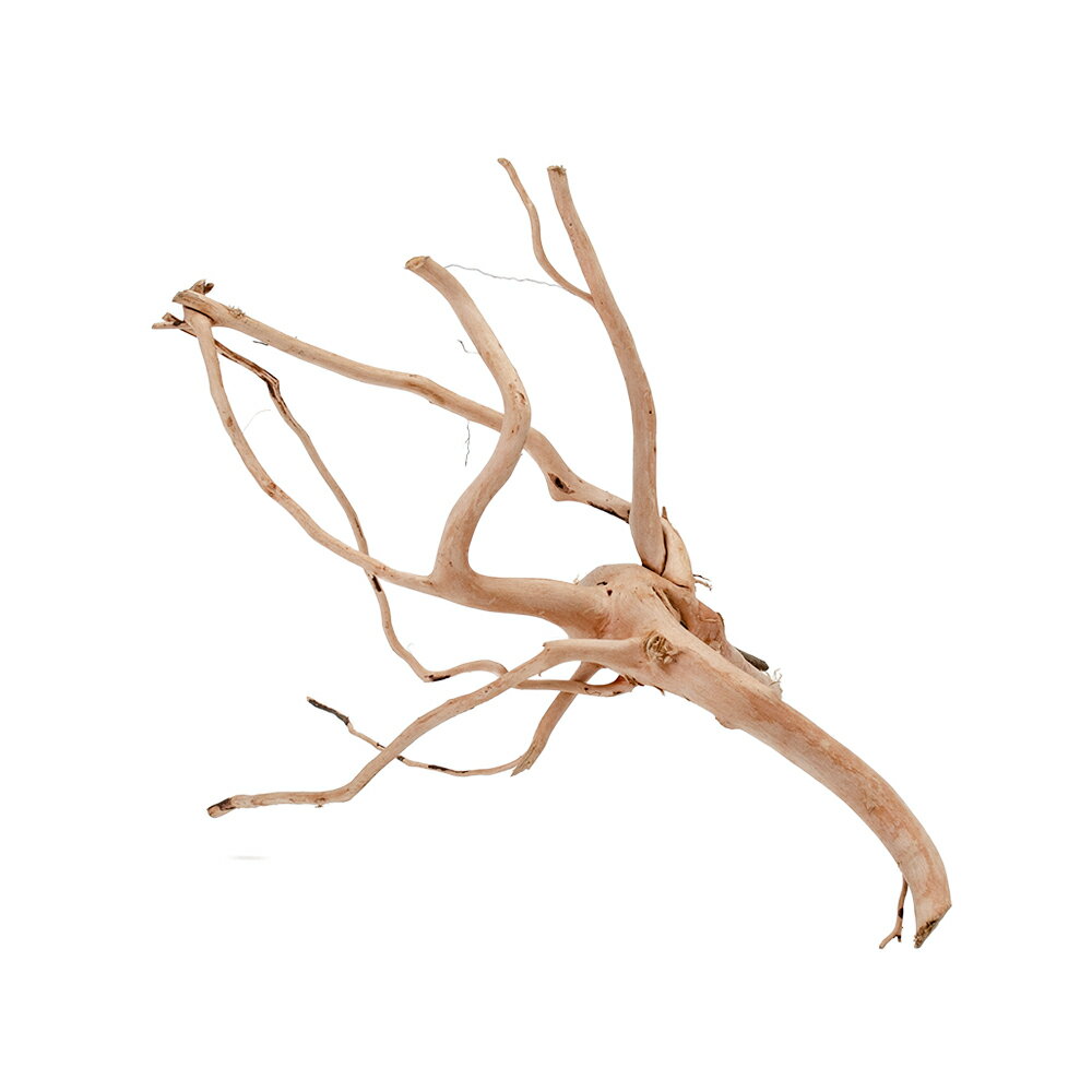 MDW-5605 特大ブランチウッド90cm水槽用流木枝流木アクアリウム