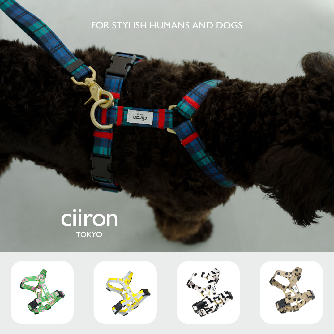 イギリス製】中型、大型犬 カラー、ハーネス、リード、プーバック4点