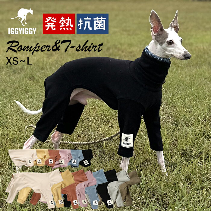 楽天市場】イタグレ ミニピンの通販