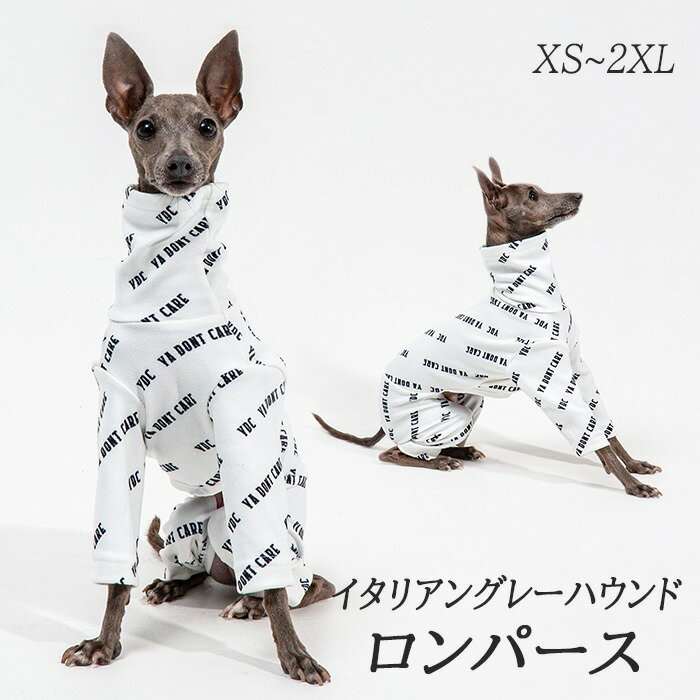 楽天市場】イタグレ ミニピンの通販