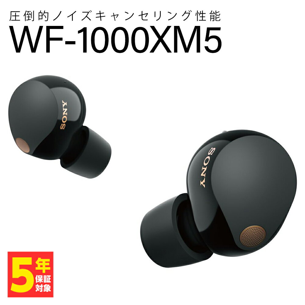 Sony WF-1000X シャンパンゴールド 【ほぼ新品】SONY WF-1000X