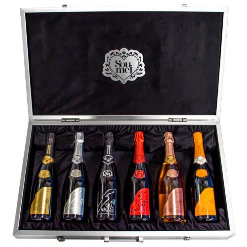 Leopoldine SOUMEI 6本セット 豪華アタッシュケース入り レオポル