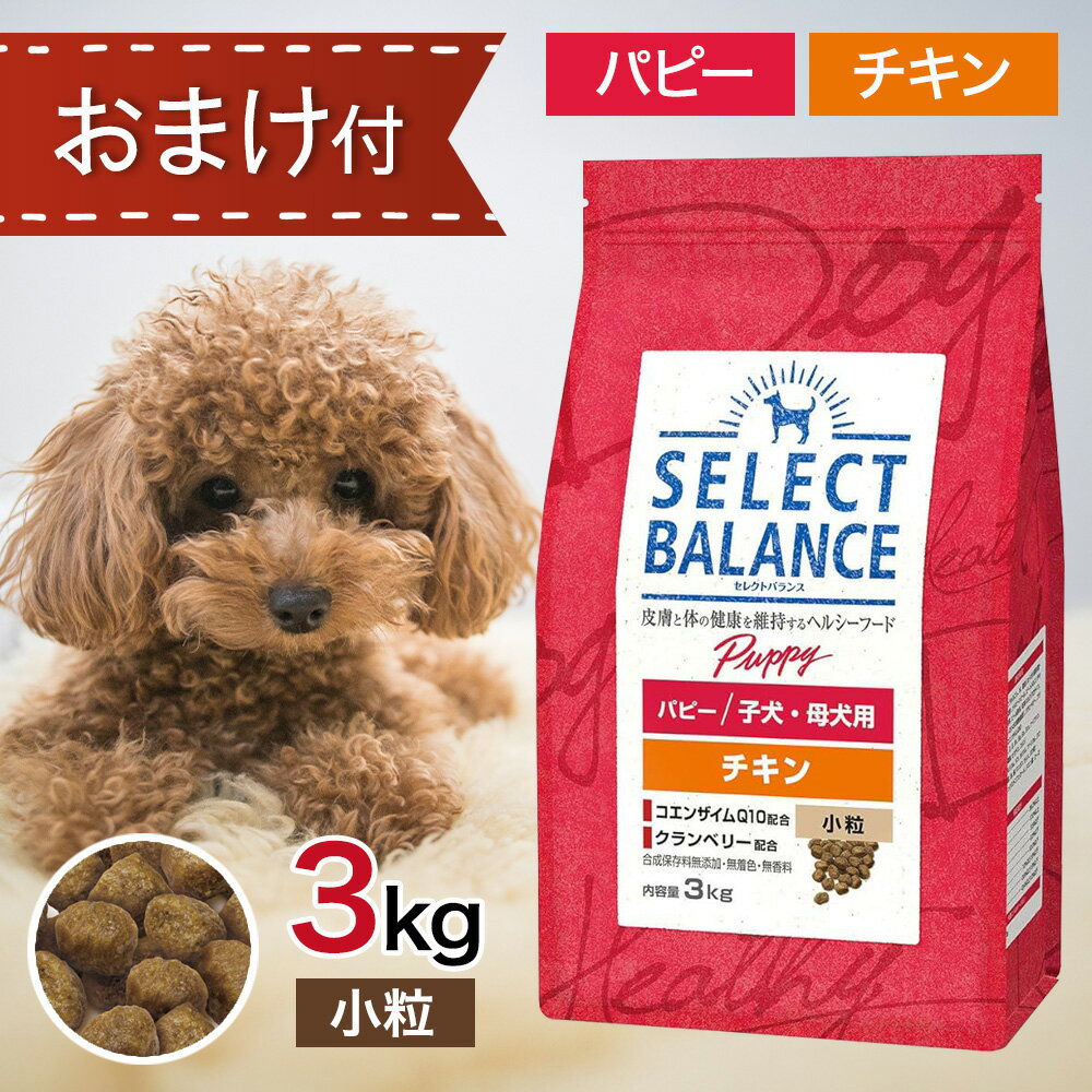 Dr's Diet パピー 3kg ドッグフード2袋 ドクターズダイエット パピー