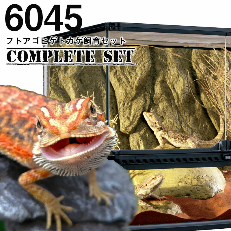 爬虫類ケージ 82×45×45 リクガメ フトアゴ ゲージ 小動物 爬虫類ケージ