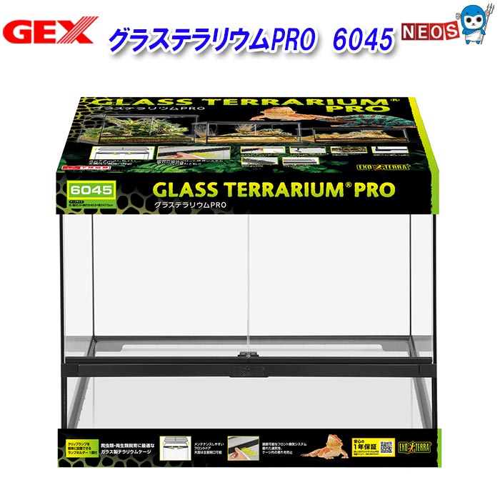 楽天市場】グラステラリウム6045 エキゾテラの通販