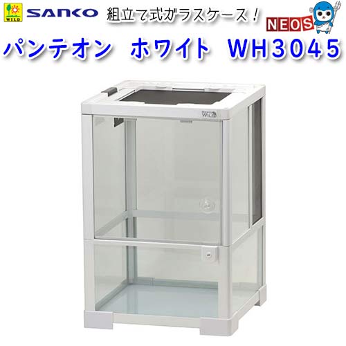 楽天市場】パンテオン 3045の通販