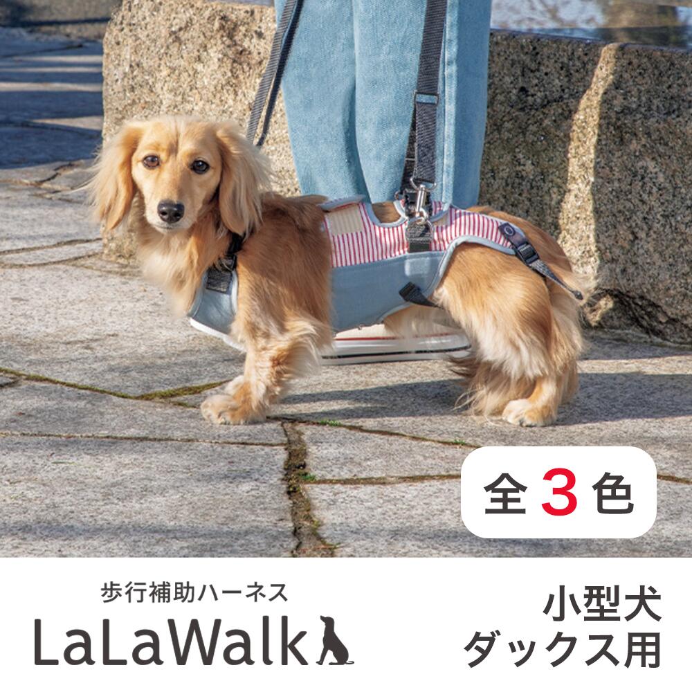 楽天市場】トイプードル ハーネス（介護用品｜犬用品）：ペット