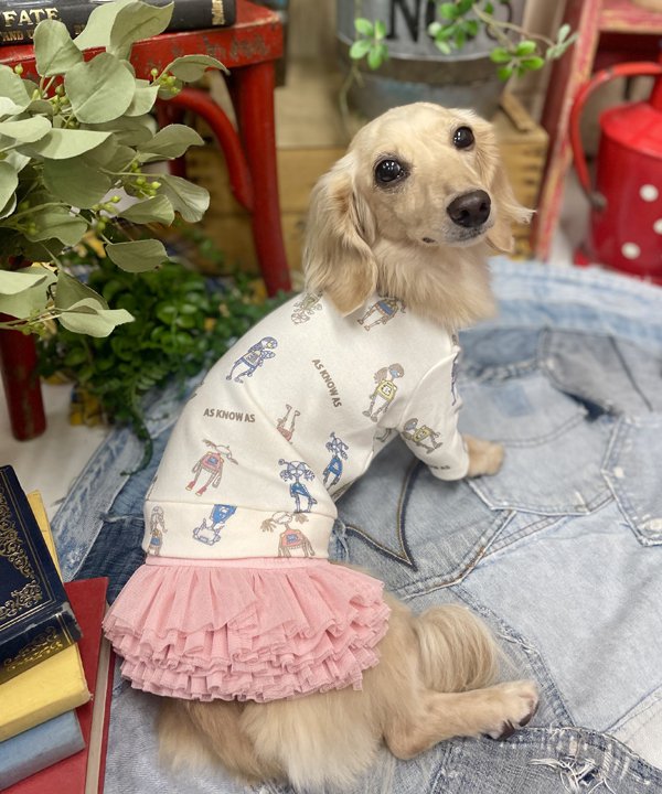 楽天市場】as know de wanの通販