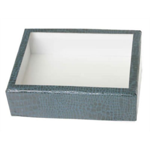 小型標本箱 6箱 小型標本箱 6箱 小型標本箱 6箱 小型標本箱 6箱 ドイツ