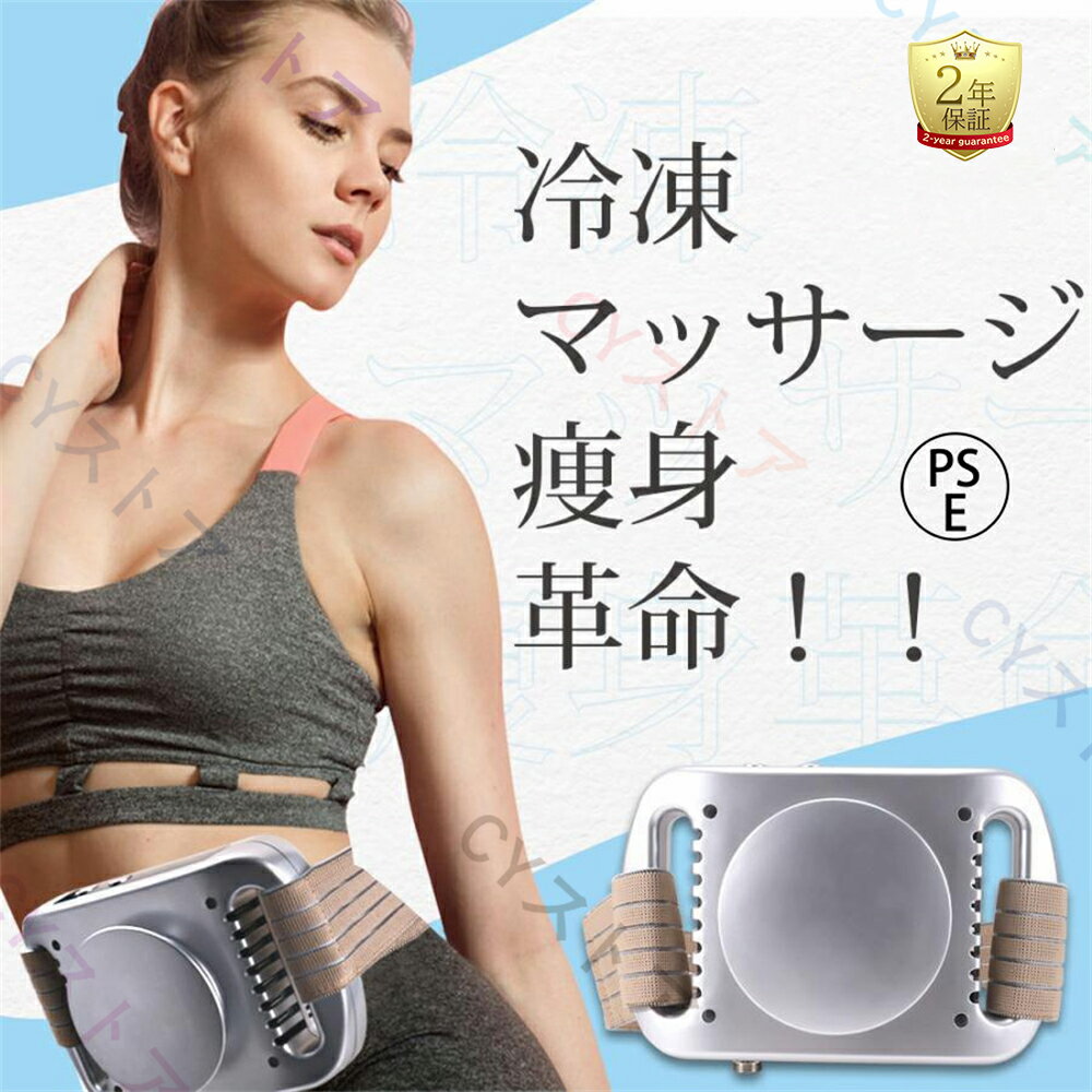 日本語説明書付き2ヘッド脂肪冷却マシン強力業務用コンパクト部分痩せ
