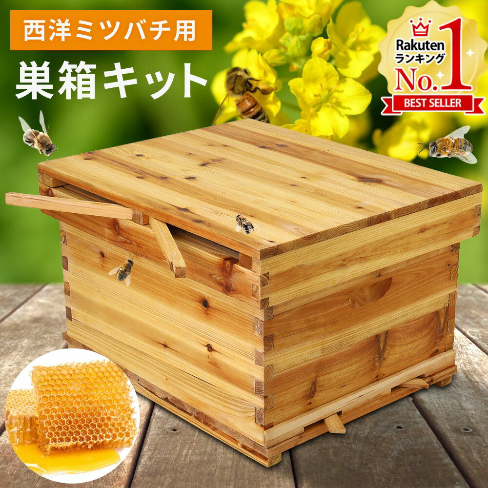 ミツバチ 巣箱 巣枠付き 雨晒し済み ミツバチ 巣箱 巣枠付き 雨晒し