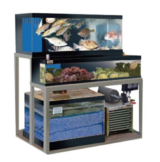 海水魚水槽セット 引き取り限定 45cm海水水槽セット 生体付き 引き取り