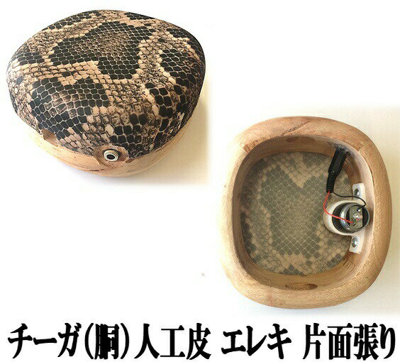 楽天市場】三線 チーガの通販