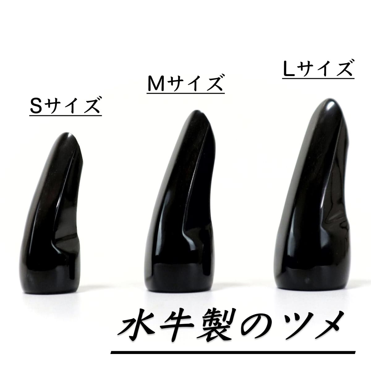 楽天市場】牛（楽器・音響機器）の通販