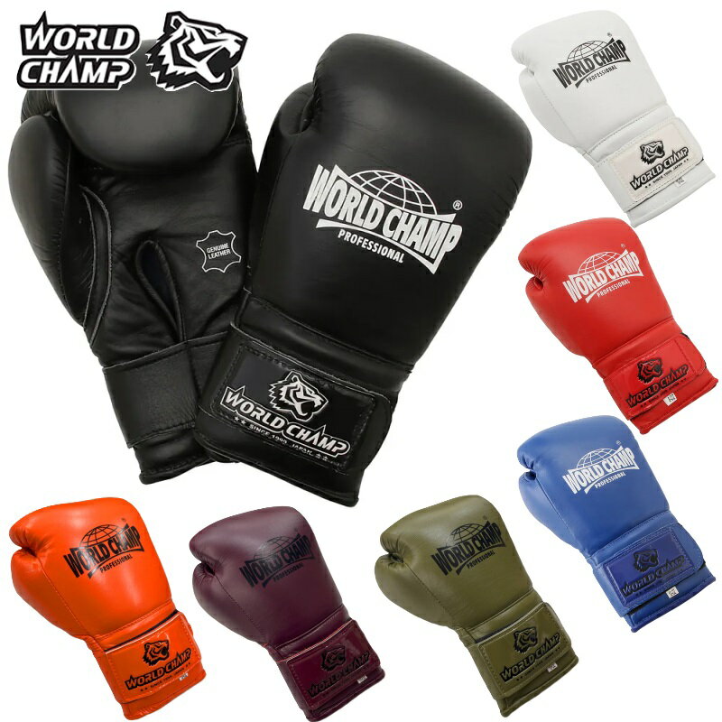 WORLD CHAMP キックミット 黒・金 WORLD CHAMP キックミット 黒・金