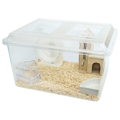 楽天市場】シマリス 飼育セット（ペット・ペットグッズ）の通販