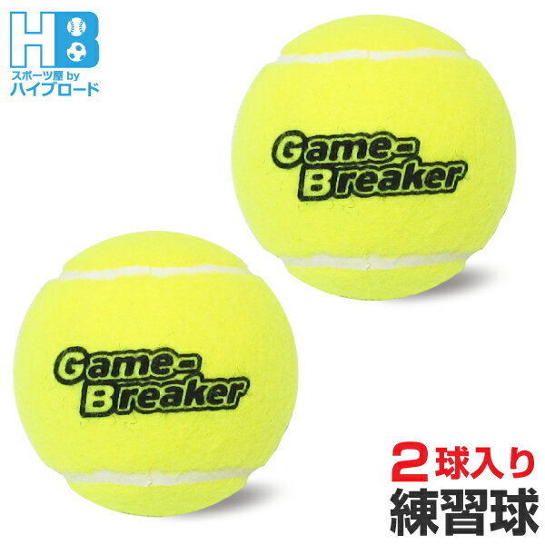 楽天市場】硬式テニスボール 2個入りの通販