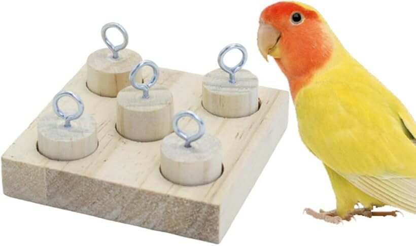 楽天市場】インコ フォージング（おもちゃ｜鳥用品）：ペット・ペット