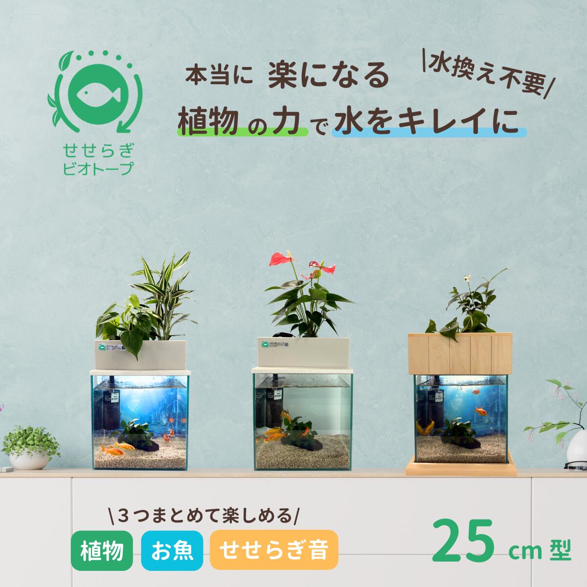 楽天市場】せせらぎビオトープの通販