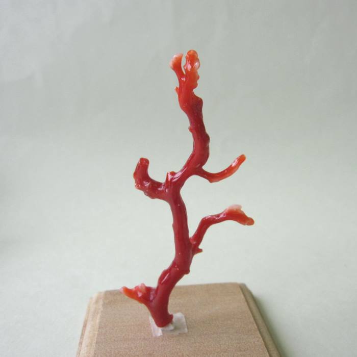 楽天市場】赤珊瑚 置物の通販