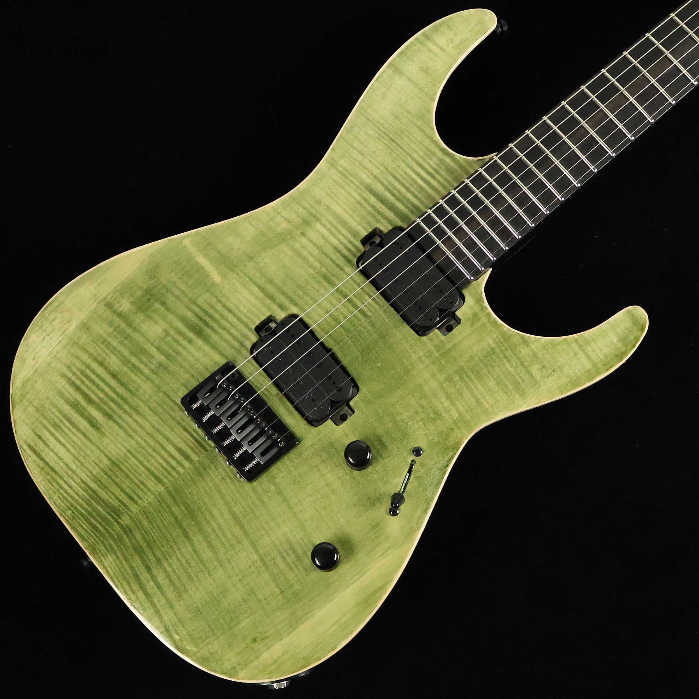 EDWARDS フォレスト ギター 【公式通販】